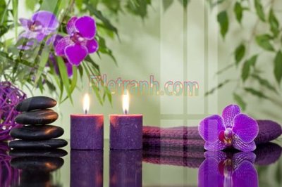 File gốc Tranh trang trí Spa làm đẹp MP702 (in lụa) tranh mã đáo