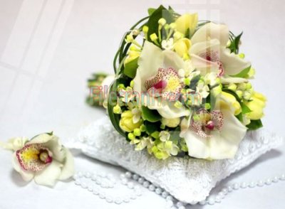 Tải file gốc Tranh trang trí Spa làm đẹp MP707 (in không vỡ ảnh)