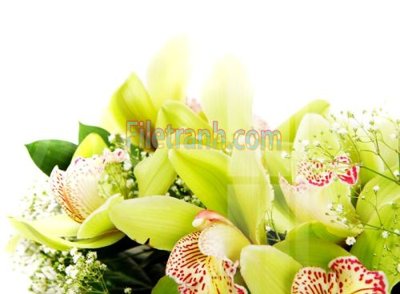 File tranh Tranh trang trí Spa làm đẹp MP727 (gốc) in vải canvas