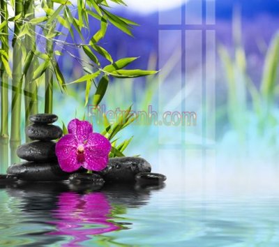 File gốc Tranh trang trí Spa làm đẹp MP741 (in lụa) tranh phong thủy