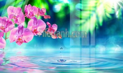 File tranh ảnh gốc Tranh trang trí Spa làm đẹp MP743 dùng cho in khổ lớn