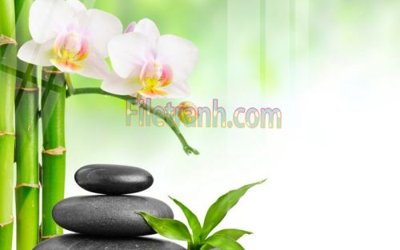 File tranh Tranh trang trí Spa làm đẹp MP752 (bản gốc) in lụa dán tường