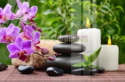 File tranh Tranh trang trí Spa làm đẹp MP753 (ảnh gốc) in trần 3D