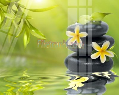 Download file Tranh trang trí Spa làm đẹp MP760 (chuẩn in) Tranh trang trí Spa làm đẹp MP760