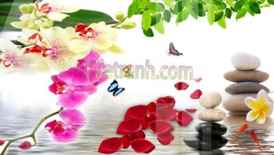 File tranh Tranh trang trí Spa làm đẹp MP769 (gốc) chủ đề thiên nhiên