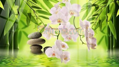 File gốc Tranh trang trí Spa làm đẹp MP774 (in 3D) cho trang trí