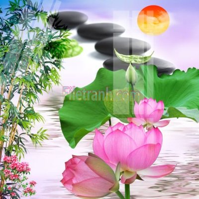 File in ấn Tranh trang trí Spa làm đẹp MP776 chuyên nghiệp