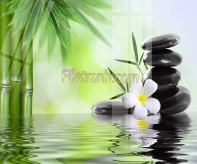 File gốc Tranh trang trí Spa làm đẹp MP825 (chủ đề hiện đại) trang trí