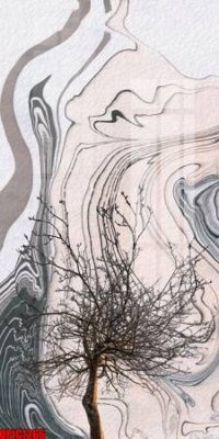 Download file gốc file tranh bộ decor in treo tường tráng gương OPIC1266 (độ nét cao)