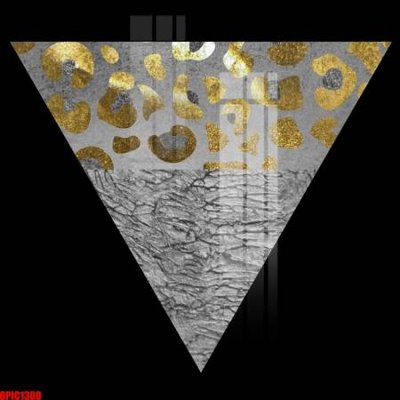 File tranh in tráng gương file tranh bộ decor in treo tường tráng gương OPIC1300 (siêu nét)