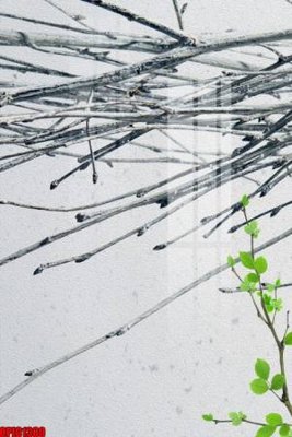 Tải về file tranh gốc file tranh bộ decor in treo tường tráng gương OPIC1380 (để in quảng cáo)