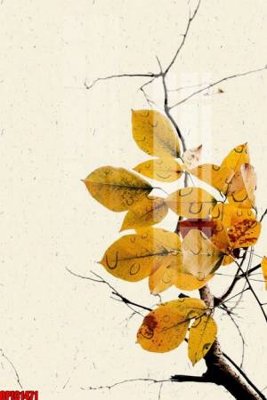 File tranh file tranh bộ decor in treo tường tráng gương OPIC1471 (gốc) chủ đề động vật