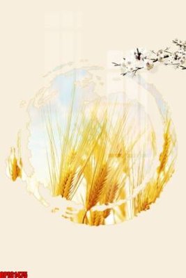 Tải file file tranh bộ decor in treo tường tráng gương OPIC1475 (gốc) làm file quảng cáo