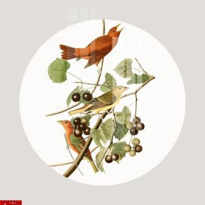 Chi tiết file tranh tráng gương file tranh bộ decor in treo tường tráng gương OPIC2299 (ảnh gốc)