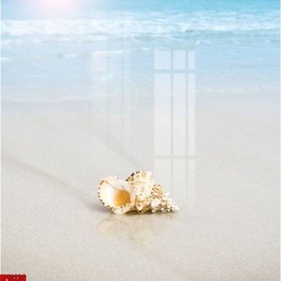 File tranh file tranh bộ decor in treo tường tráng gương OPIC236 (gốc) chủ đề tĩnh vật