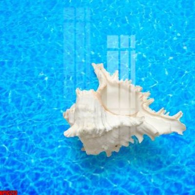 Tải file file tranh bộ decor in treo tường tráng gương OPIC273 (ảnh gốc) in gạch men