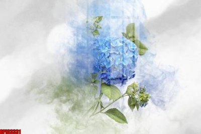 File tranh in mica file tranh bộ decor in treo tường tráng gương OPIC3331 (độ phân giải cao)