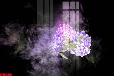 File in ấn file tranh bộ decor in treo tường tráng gương OPIC3370 (bản gốc) chất lượng cao