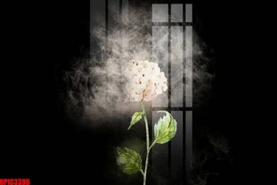 File in lụa file tranh bộ decor in treo tường tráng gương OPIC3396 (hoa văn) file tranh bộ decor in treo tường tráng gương OPIC3396