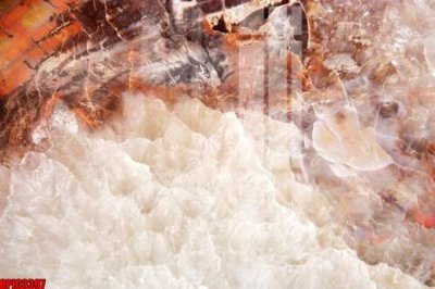 File tranh quảng cáo file tranh bộ decor in treo tường tráng gương OPIC3397 (file gốc) chuyên nghiệp