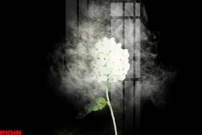 Tải file file tranh bộ decor in treo tường tráng gương OPIC3405 (gốc) làm tranh trang trí