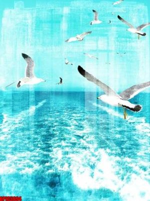 Ảnh gốc file tranh bộ decor in treo tường tráng gương OPIC5094 (độ nét cao) in mica