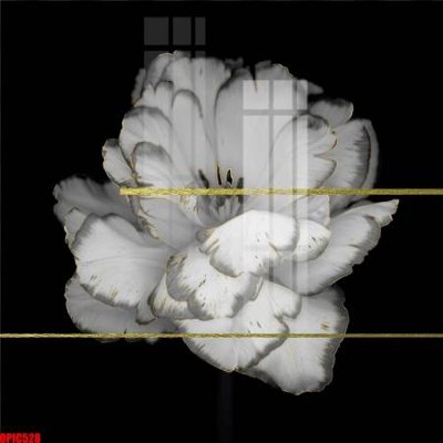 File in mica file tranh bộ decor in treo tường tráng gương OPIC528 (ảnh gốc) đẹp