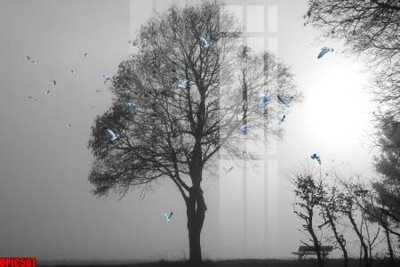 Tệp tin gốc file tranh bộ decor in treo tường tráng gương OPIC561 (dùng cho in) file tranh bộ decor in treo tường tráng gương OPIC561