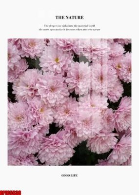 File gốc file tranh bộ decor in treo tường tráng gương OPIC5638 (in ấn) màu sắc trung thực