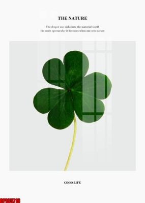 File tranh file tranh bộ decor in treo tường tráng gương OPIC5716 (ảnh gốc) sắc nét hoàn hảo