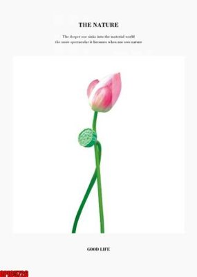 File gốc file tranh bộ decor in treo tường tráng gương OPIC5726 (trang trí) cho phòng khách