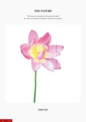 File gốc in tráng gương file tranh bộ decor in treo tường tráng gương OPIC5728 chi tiết