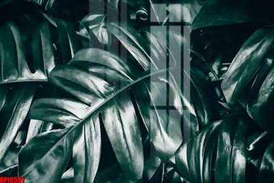 File gốc file tranh bộ decor in treo tường tráng gương OPIC581 (ảnh chi tiết) để in lụa