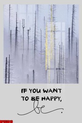 File tranh file tranh bộ decor in treo tường tráng gương OPIC5810 (gốc) chủ đề động vật