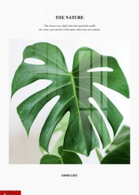 Tải file gốc file tranh bộ decor in treo tường tráng gương OPIC5898 (in tráng gương) 5DFile gốc file tranh bộ decor in treo tường tráng gương OPIC5898 (in ấn) phiên bản premium