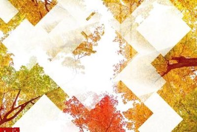 Hình ảnh file gốc in trần nhà file tranh bộ decor in treo tường tráng gương OPIC6175