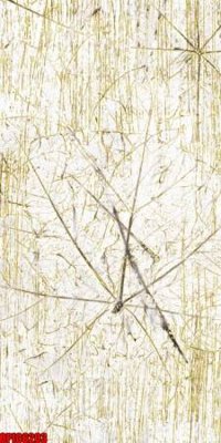 Tải file file tranh bộ decor in treo tường tráng gương OPIC6203 (gốc) in trên mọi chất liệu