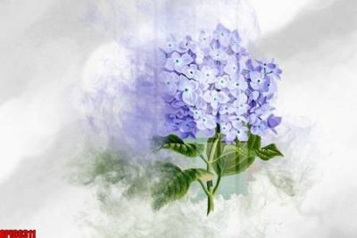 File gốc file tranh bộ decor in treo tường tráng gương OPIC6311 (in lụa) tranh thuận buồm