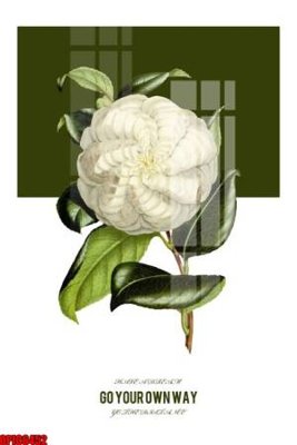 File in trần file tranh bộ decor in treo tường tráng gương OPIC6452 (bản gốc) hoa văn