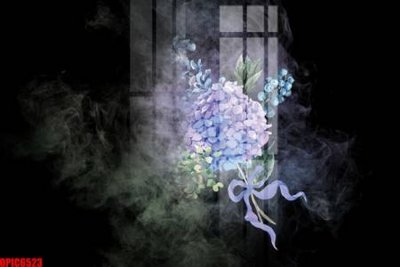 File tranh file tranh bộ decor in treo tường tráng gương OPIC6523 (ảnh gốc) cho in ấn kỹ thuật số