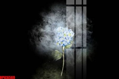 File tranh file tranh bộ decor in treo tường tráng gương OPIC6569 (ảnh gốc) sắc nét hoàn hảo