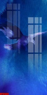 File tranh file tranh bộ decor in treo tường tráng gương OPIC660 (ảnh gốc) sắc nét hoàn hảo