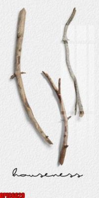 File tranh gốc in trần nhà file tranh bộ decor in treo tường tráng gương OPIC6629 3D