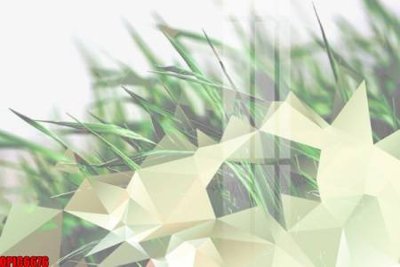 File in mica file tranh bộ decor in treo tường tráng gương OPIC6676 (bản gốc) làm vách ngăn