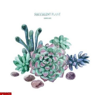 Tải file gốc file tranh bộ decor in treo tường tráng gương OPIC6678 (để in lụa)