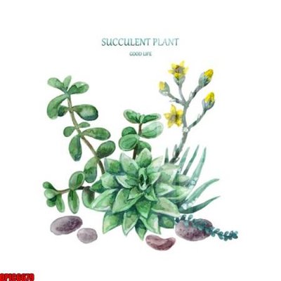 File tranh file tranh bộ decor in treo tường tráng gương OPIC6679 (gốc) chủ đề thành phố