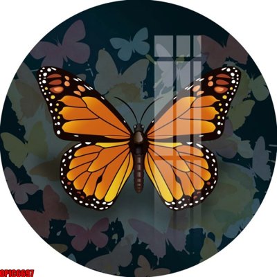 Tải file gốc file tranh bộ decor in treo tường tráng gương OPIC6697 (in khổ lớn) không mờ