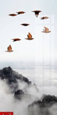 File gốc in ấn file tranh bộ decor in treo tường tráng gương OPIC6713 (sẵn sàng tải về)