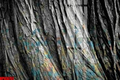 File tranh trang trí file tranh bộ decor in treo tường tráng gương OPIC6757 (file gốc)