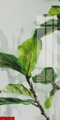 Download file gốc file tranh bộ decor in treo tường tráng gương OPIC6816 (in mica) trong suốt